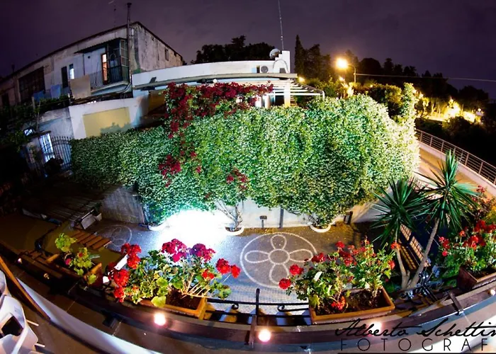 Bed & Breakfast Elena